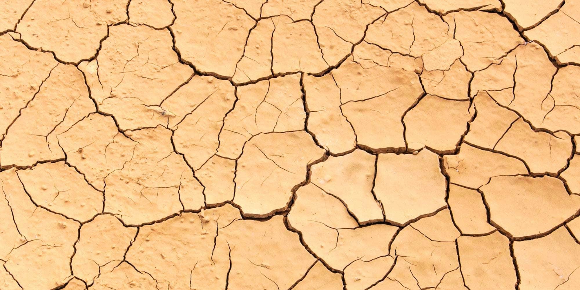 Vücudunuzun Susuz Kaldığını Nasıl Anlarsınız?