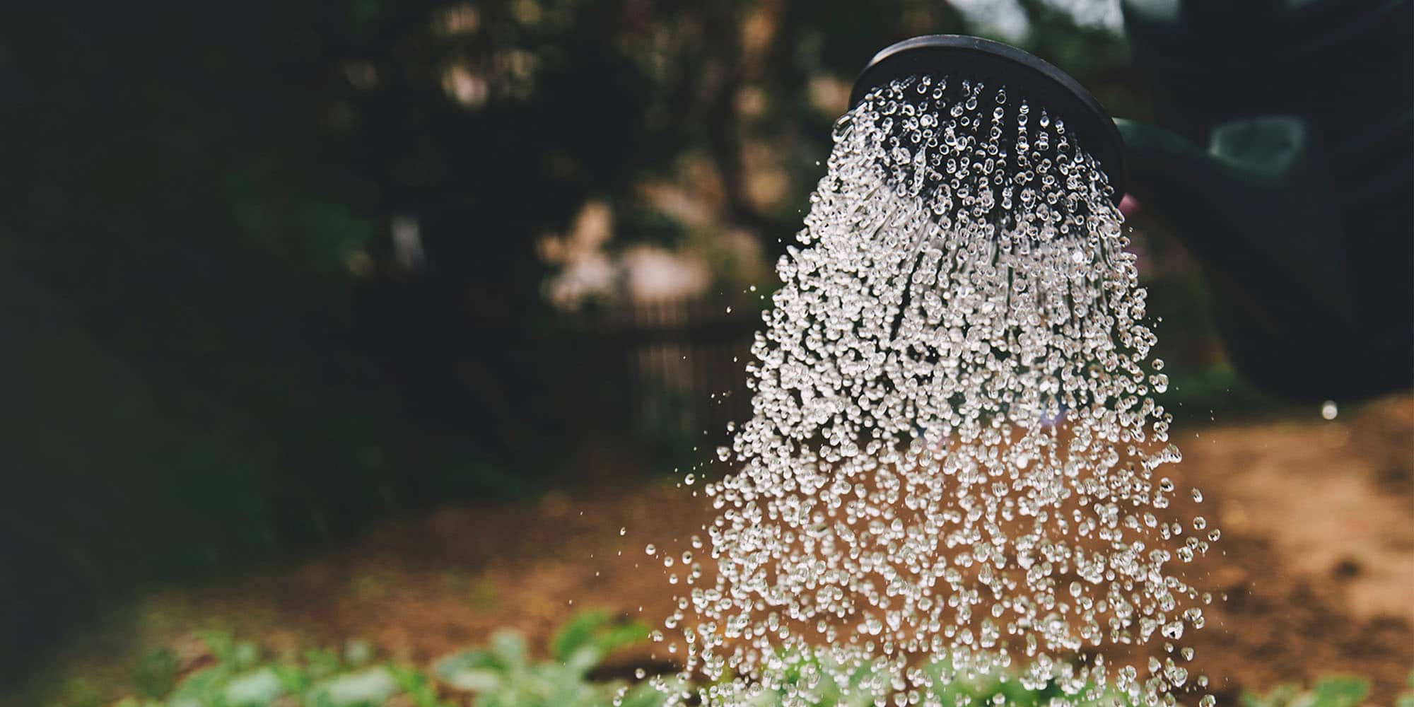 Evde Su Tasarrufu Nasıl Yapılır?